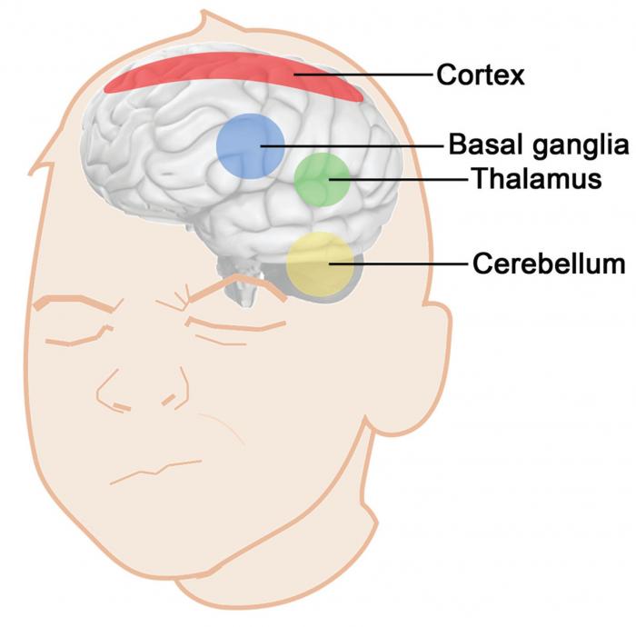 Motor Tics Caused By Anxiety